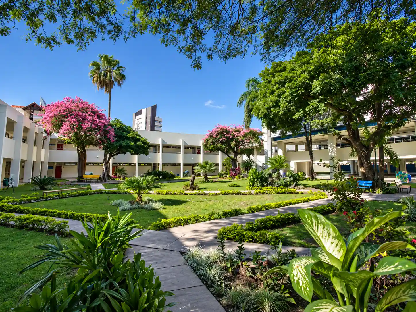 Patio escolar con jardines y edificios educativos