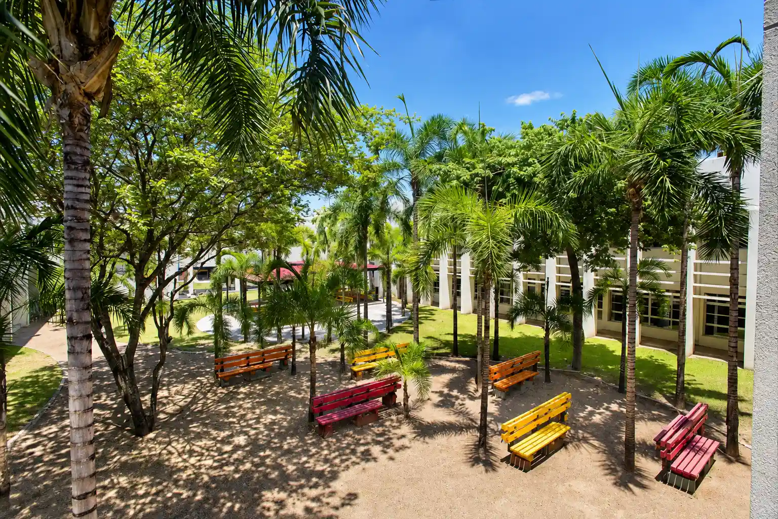 Patio escolar con palmeras y bancos de colores