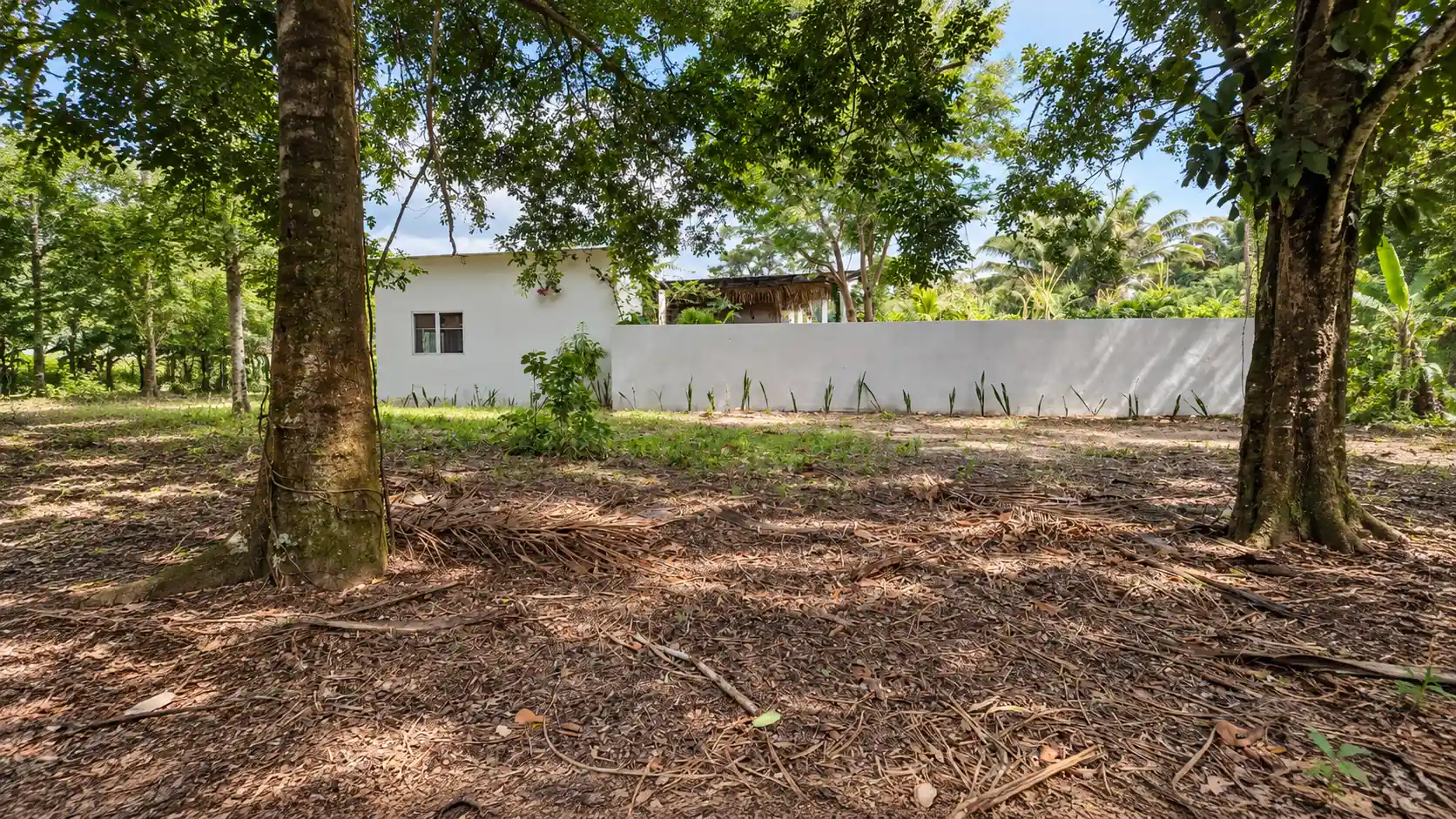 Weißes Wohnhaus zwischen Bäumen und Pflanzen