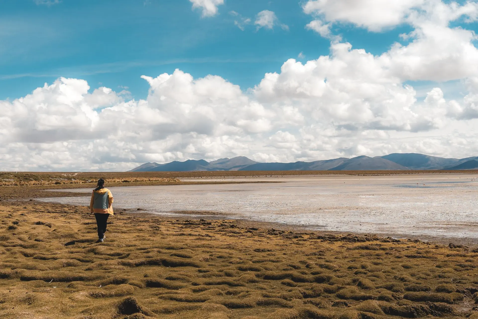 El paisaje de Bolivia